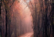 [德甲]第22轮：莱比锡2-0门兴格拉德巴赫 集锦.