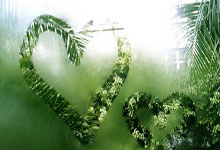 马刺加入杜兰特争夺战！联手文班亚马和福克斯？冲击冠军的节奏？.