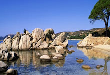 家乡父老前 阿根廷主帅热泪盈眶!高高举起大力神杯.